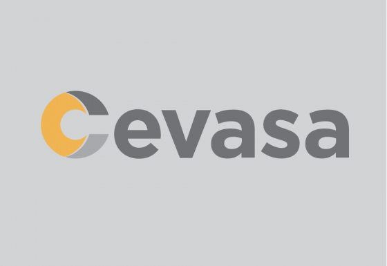 CEVASA | Branding – Diseño – Impresión – Papelería